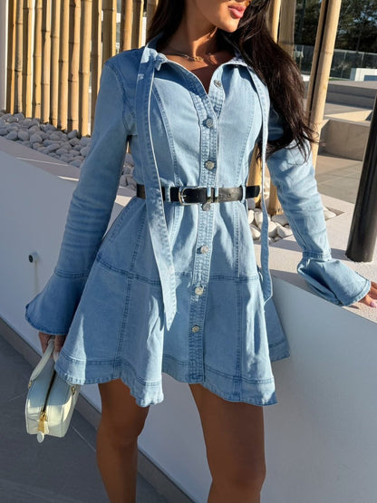 Button Front Flounce Sleeve Denim Dress-Nordavory