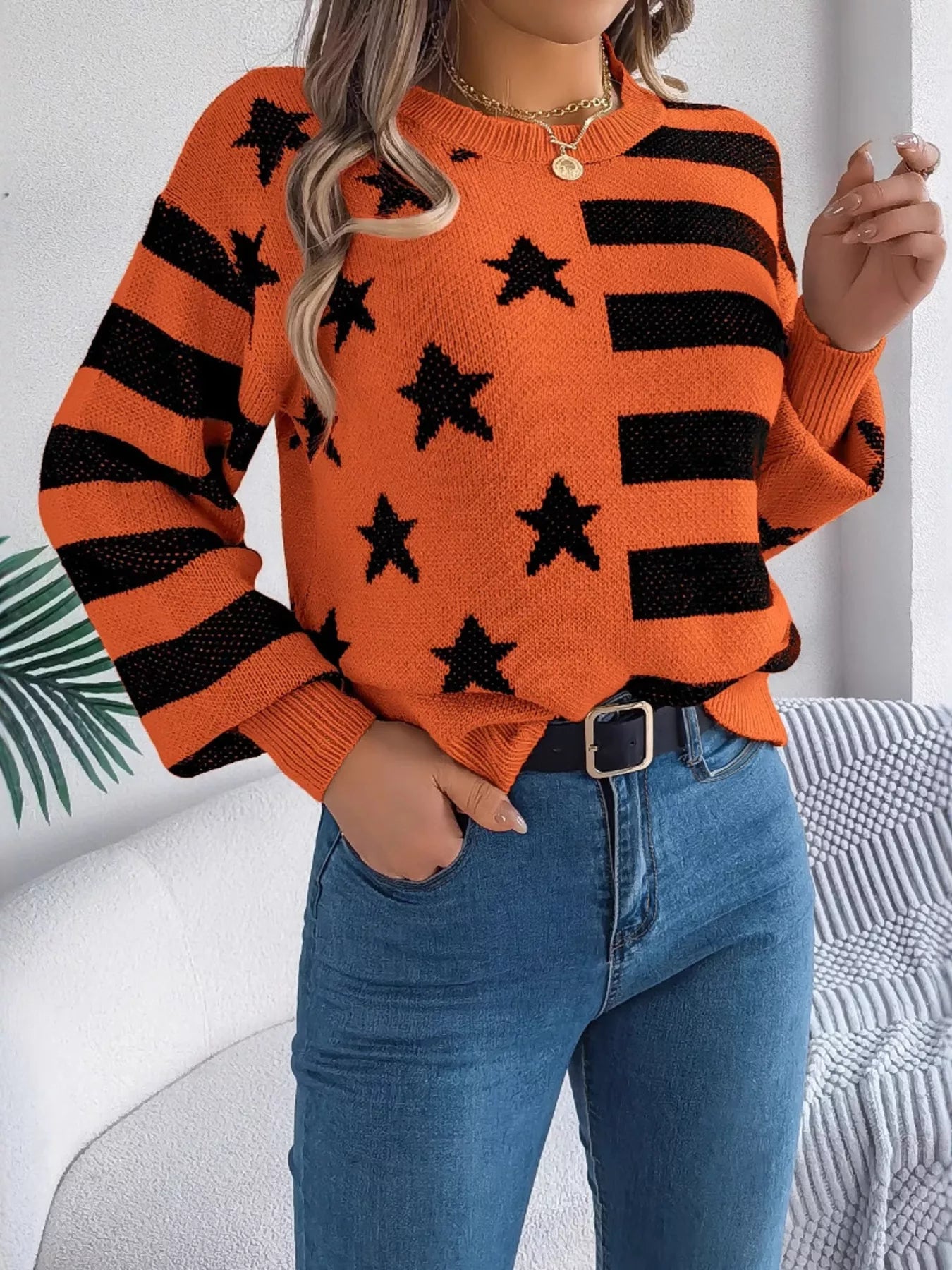 Stars and Stripes Pattern Casual Round Neck Sweater-Nordavory