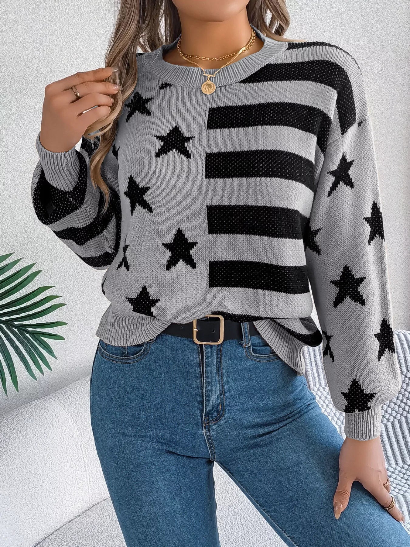 Stars and Stripes Pattern Casual Round Neck Sweater-Nordavory