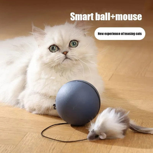 Cat Toys Mouse Teaser Ball Funny Moving Toy For Pets Cat Dog Electric - Nordavory