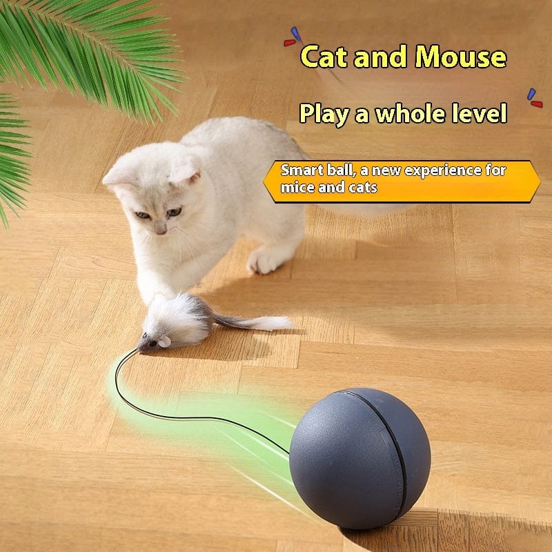 Cat Toys Mouse Teaser Ball Funny Moving Toy For Pets Cat Dog Electric - Nordavory
