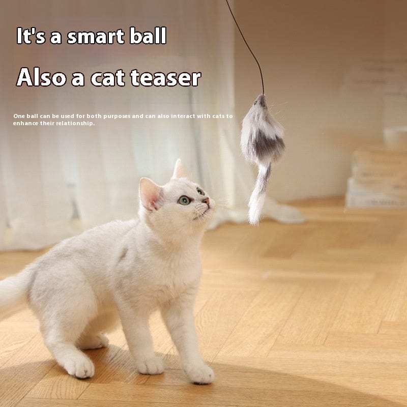 Cat Toys Mouse Teaser Ball Funny Moving Toy For Pets Cat Dog Electric - Nordavory