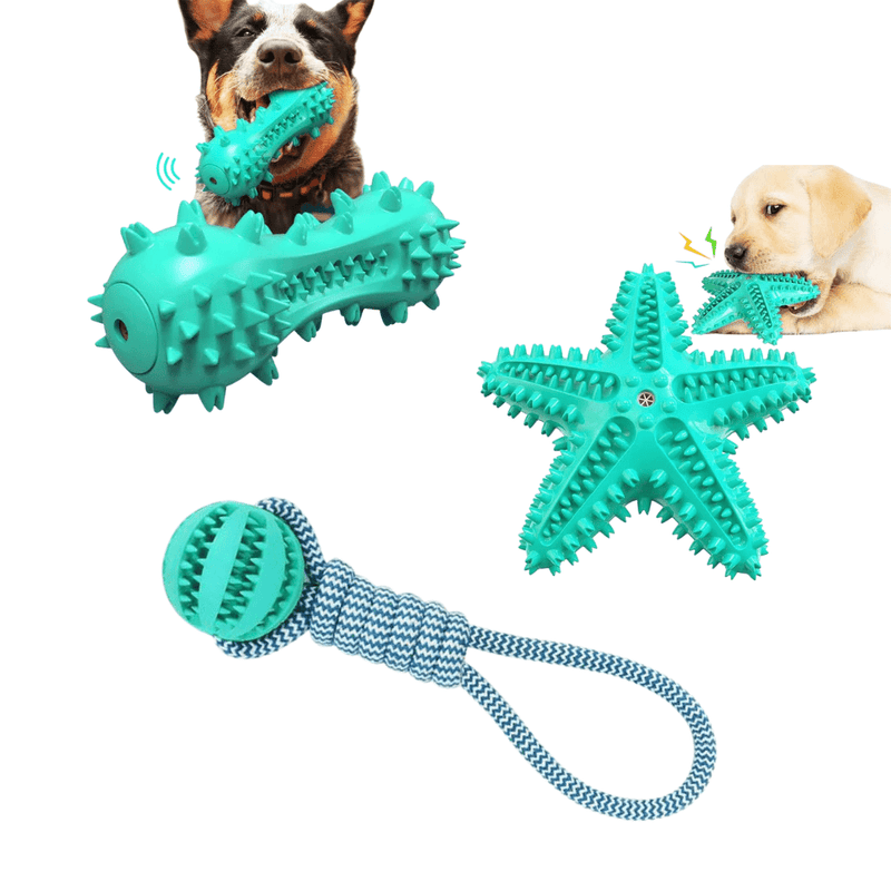 Fast Shipping 3 Pack Squeaky Toothbrush & Cotton Rope Ball Dog Toys Toys nordavory