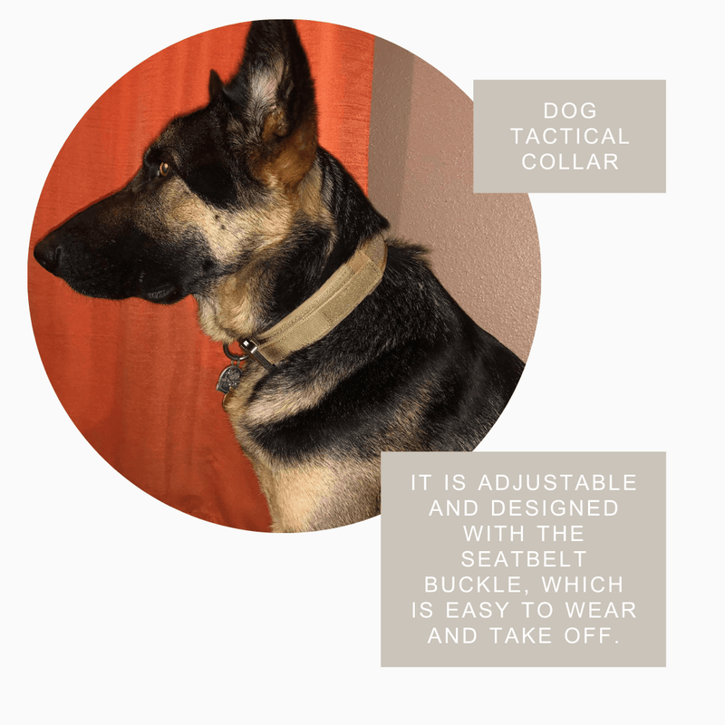 Fast Shipping Durable Military Tactical Dog Collar Leashes, Collars & Petwear nordavory