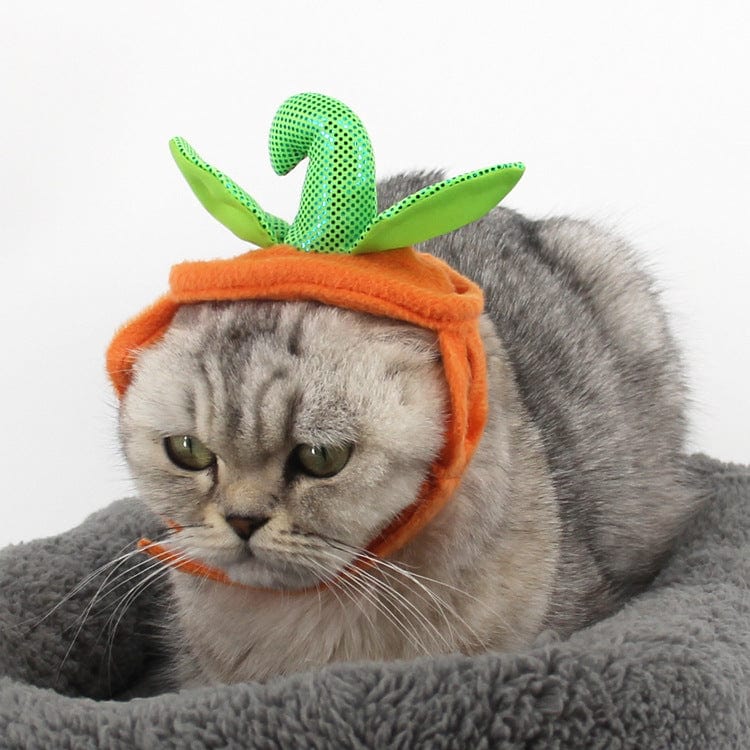 Halloween Pet Cats Costume Props Creative Pumpkin - Nordavory