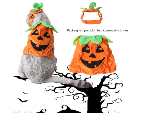 Halloween Pet Cats Costume Props Creative Pumpkin - Nordavory