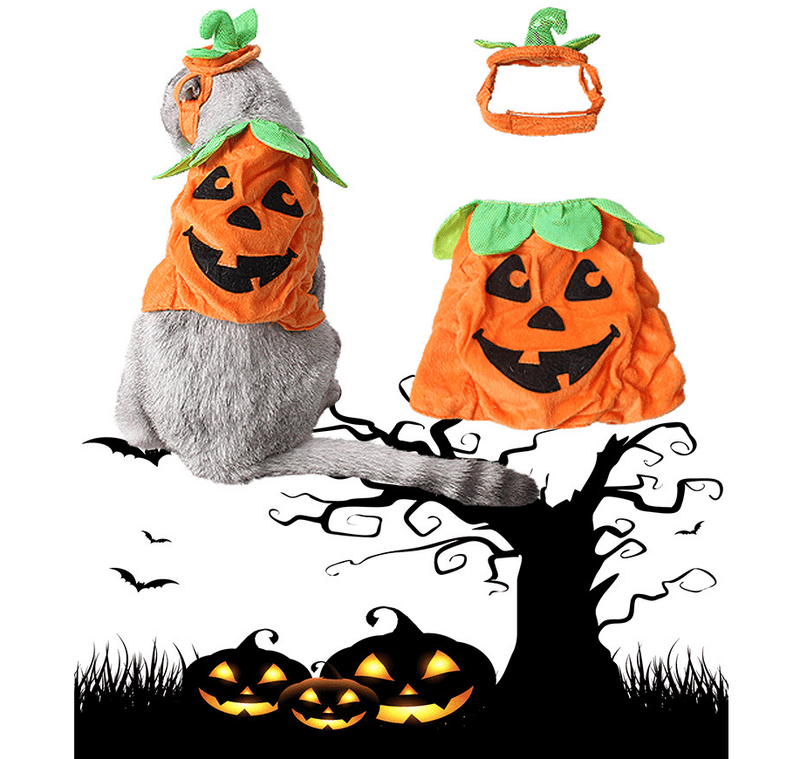 Halloween Pet Cats Costume Props Creative Pumpkin - Nordavory