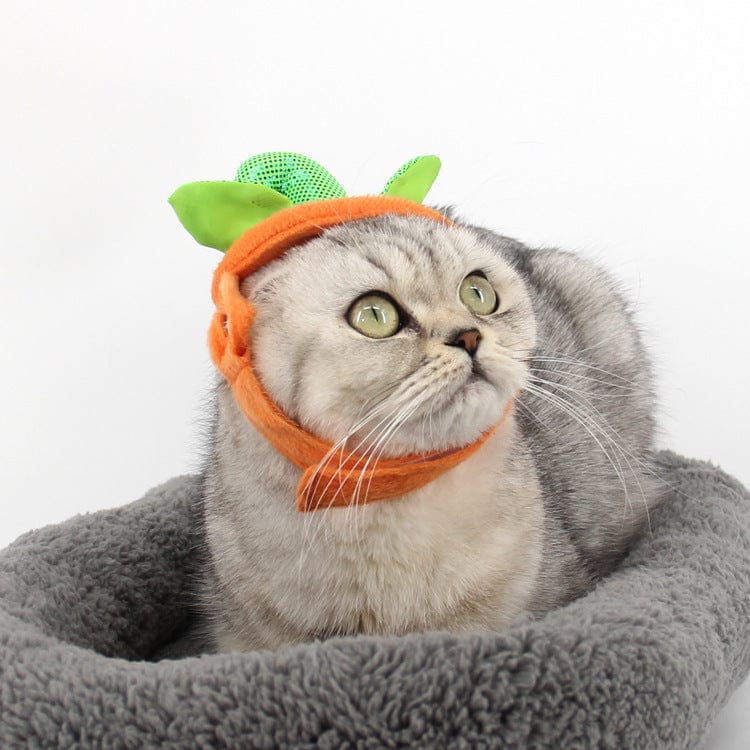 Halloween Pet Cats Costume Props Creative Pumpkin - Nordavory