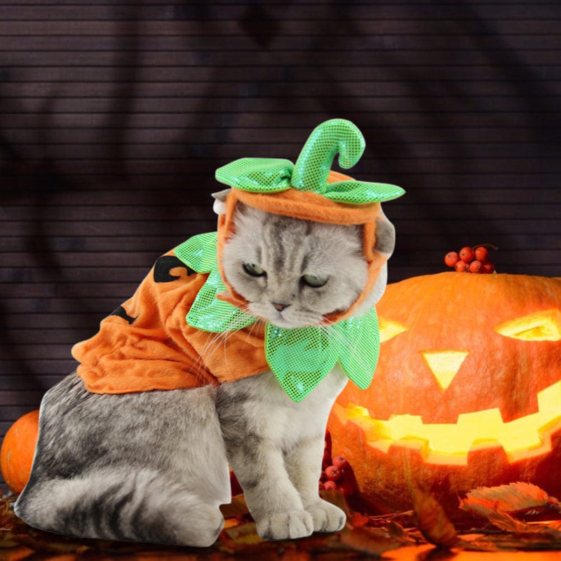 Halloween Pet Cats Costume Props Creative Pumpkin - Nordavory