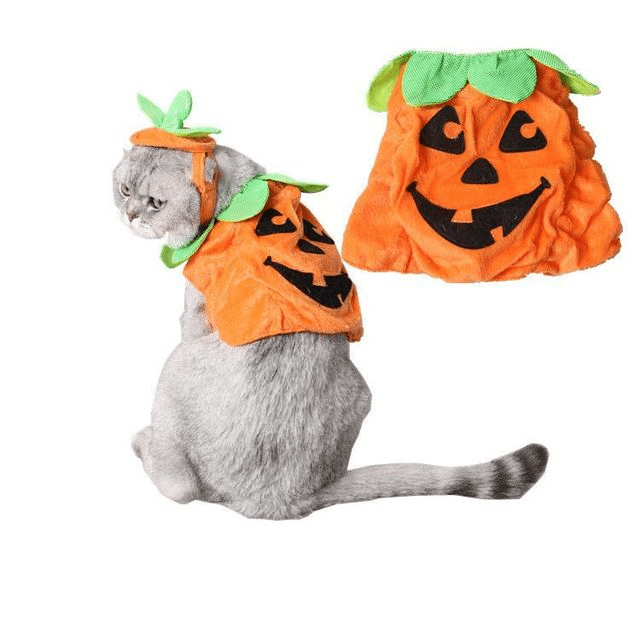 Halloween Pet Cats Costume Props Creative Pumpkin - Nordavory