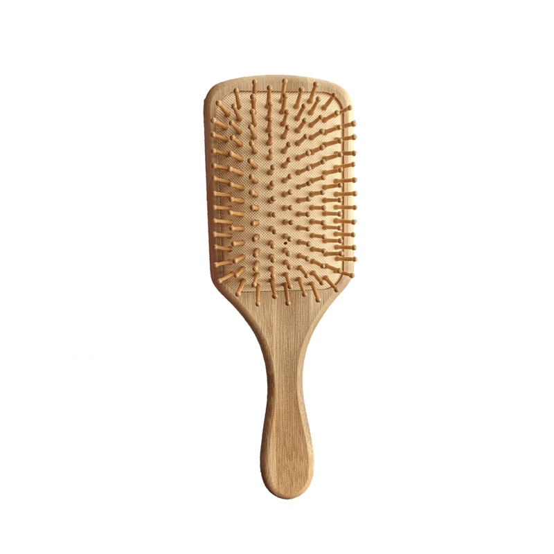 Kiwi Eco Box | Zero - Waste Self - Care Kit - Nordavory