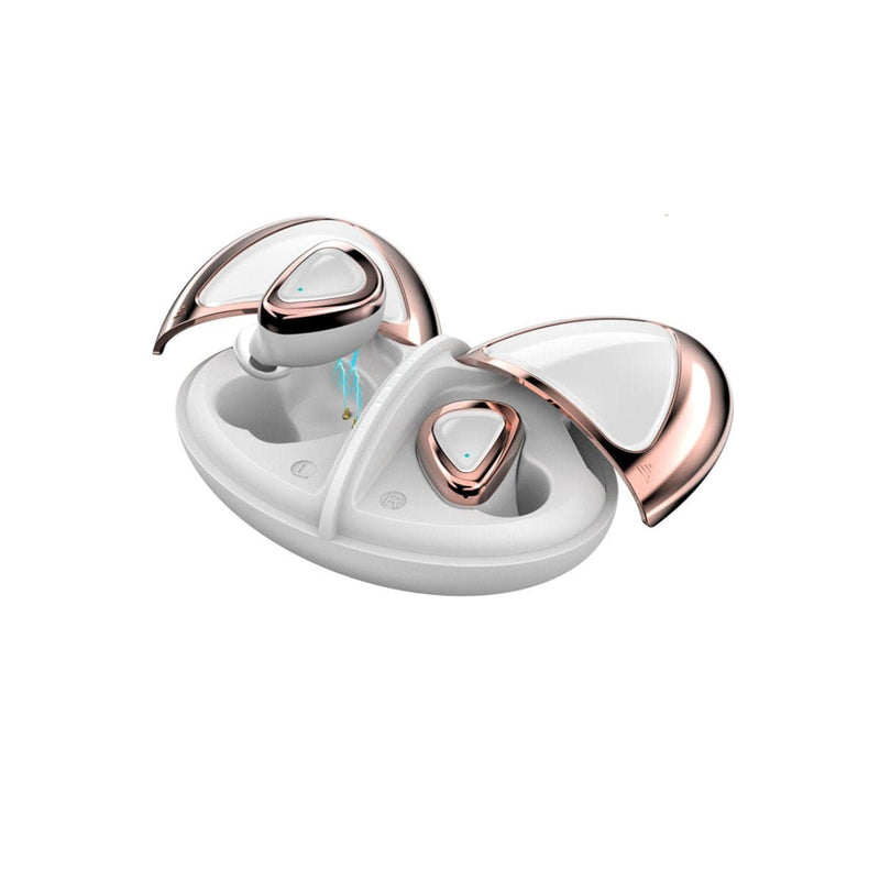 Ladybug 2 in 1 Bluetooth Ear-Pods And Charger Tech Accessories nordavory