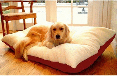 Majestic Pet 788995651611 42x60 Extra Large Rectangle Pet Bed- Red Beds & Blankets nordavory
