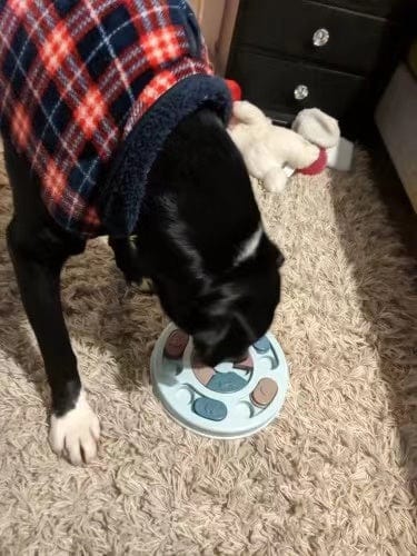 New Interactive Toy IQ Training Pets Slow Feeder Bowl Puzzle Eating - Nordavory