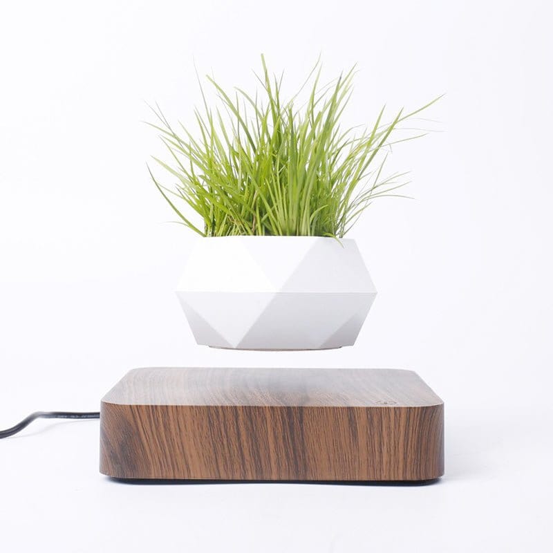 Novelty Levitating Rotation Flowerpot Magnetic Levitation FlowerPot Lighting nordavory