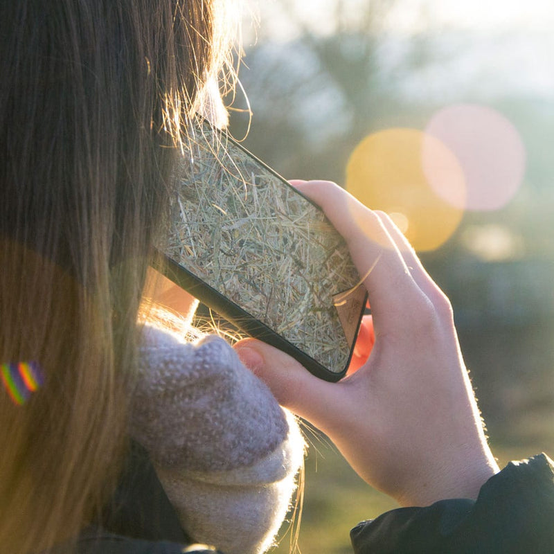 Organic Case - Alpine Hay - Nordavory