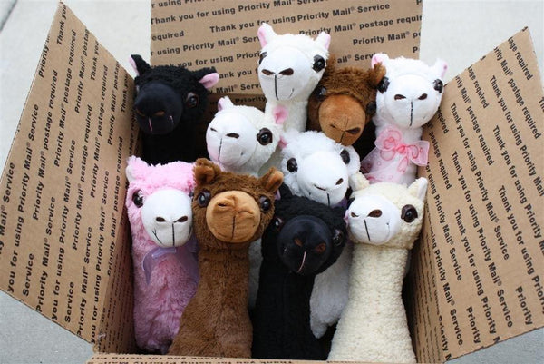 PacaBuddies Stuffed Alpaca Toys - Nordavory
