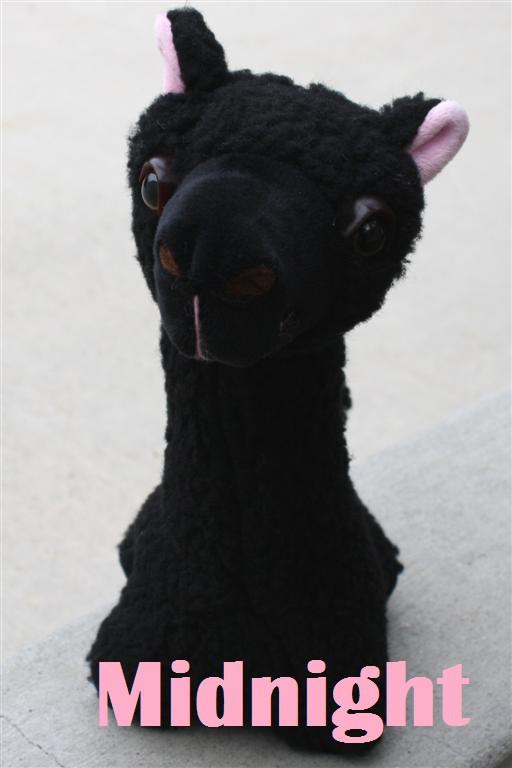 PacaBuddies Stuffed Alpaca Toys - Nordavory