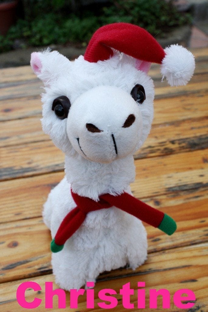 PacaBuddies Stuffed Alpaca Toys - Nordavory