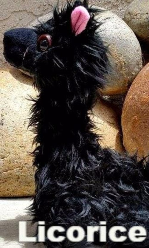 PacaBuddies Stuffed Alpaca Toys - Nordavory