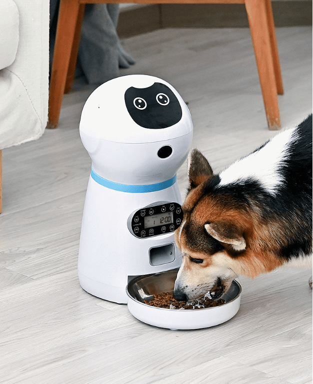 PawsomeFeed Automatic Pet Feeder - Nordavory