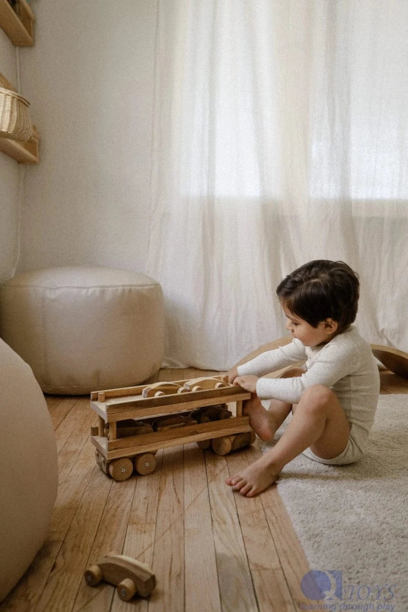 QToys Australia Car transport truck Toys nordavory