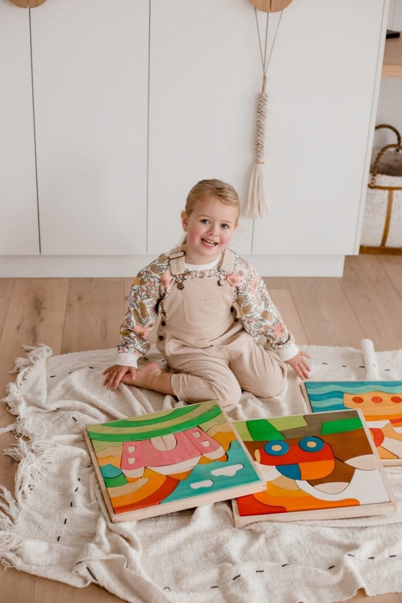 QToys Australia (USA) Car Puzzle & Play Set Toys nordavory