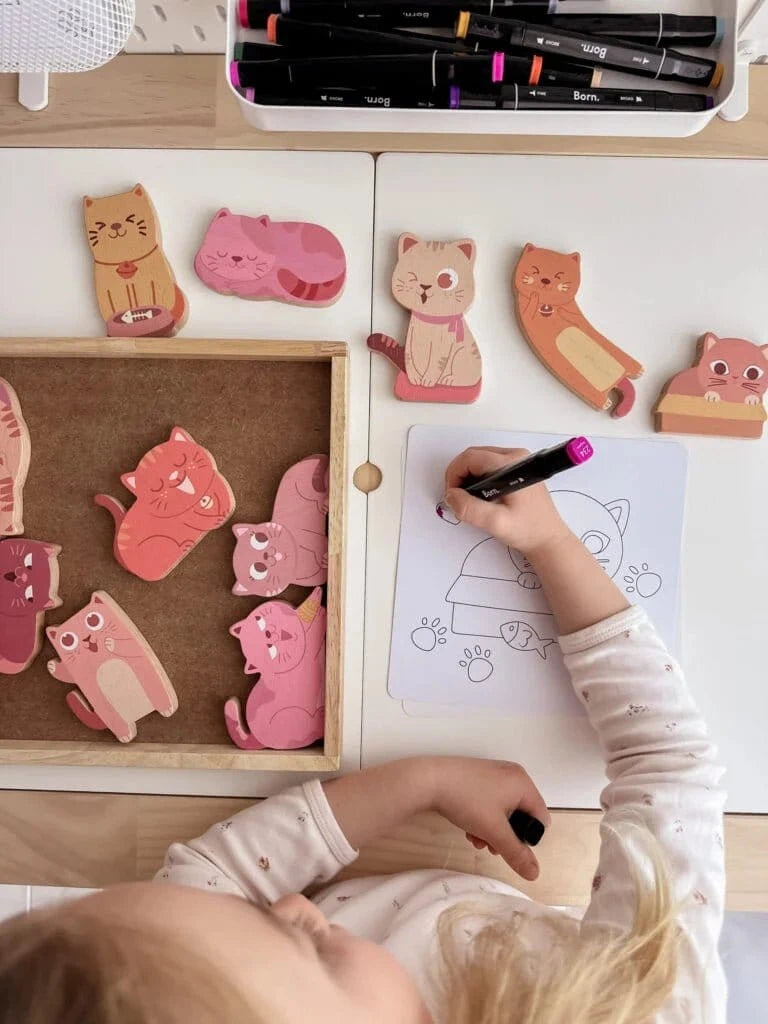 QToys Australia (USA) Cat play set & colouring Toys nordavory