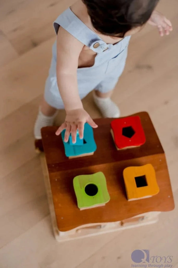 QToys Australia (USA) Sorting Cottage & Play House Toys nordavory