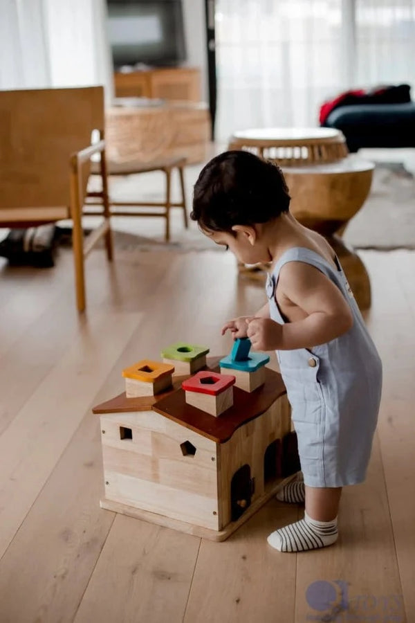 QToys Australia (USA) Sorting Cottage & Play House Toys nordavory