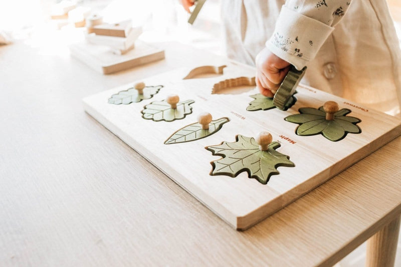 QToys Leaf Puzzle - Educational Eco-Friendly Toy Toys nordavory