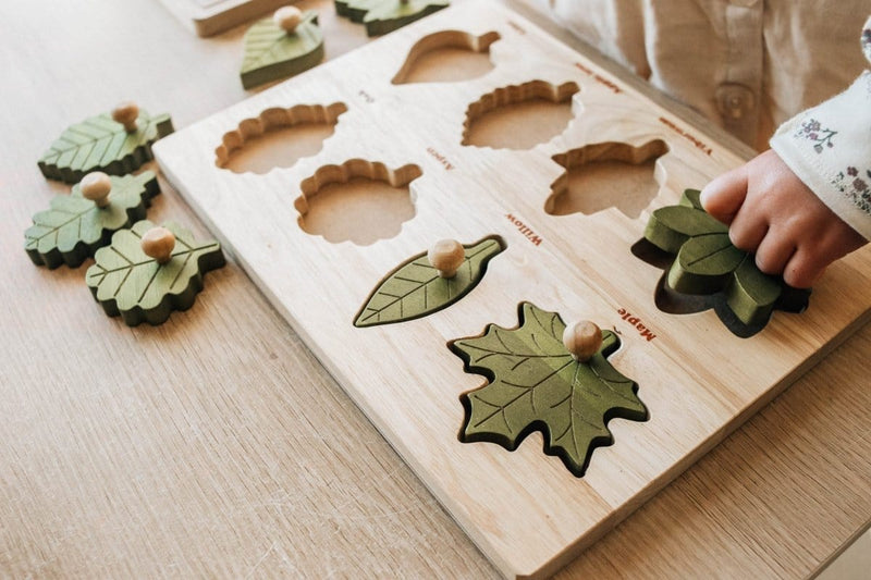 QToys Leaf Puzzle - Educational Eco-Friendly Toy Toys nordavory
