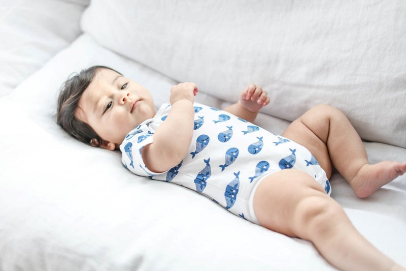 Smart Short Sleeve Baby Bodysuit + Bib - Blue Whale - Nordavory