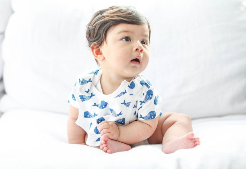 Smart Short Sleeve Baby Bodysuit + Bib - Blue Whale - Nordavory
