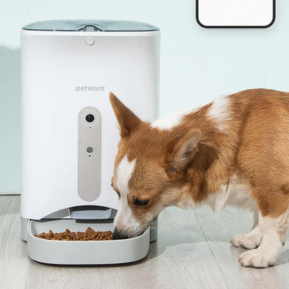 SmartPaws Automatic Pet Feeder - Nordavory