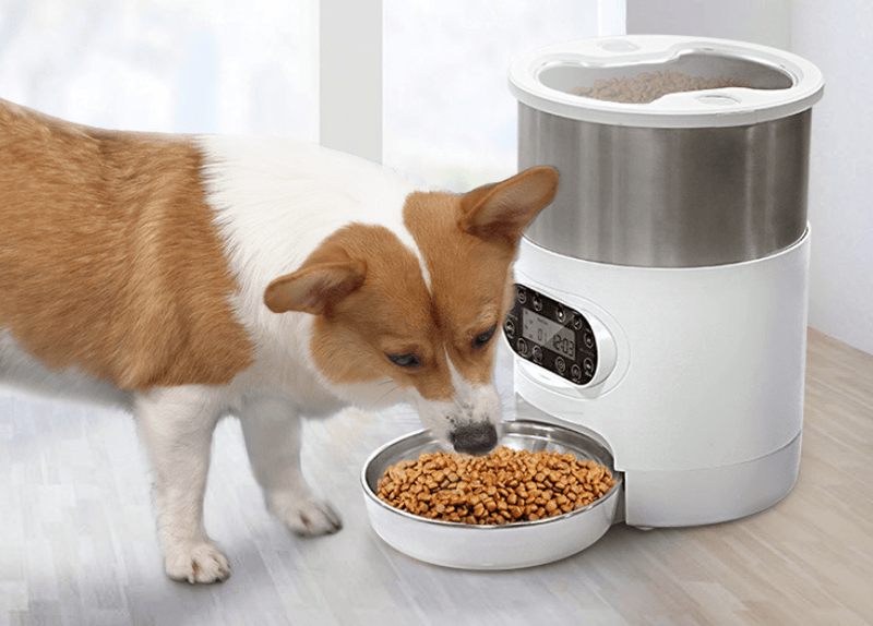 Smartpaws Remote - Controlled Pet Feeder: Automatic Food Dispenser With - Nordavory