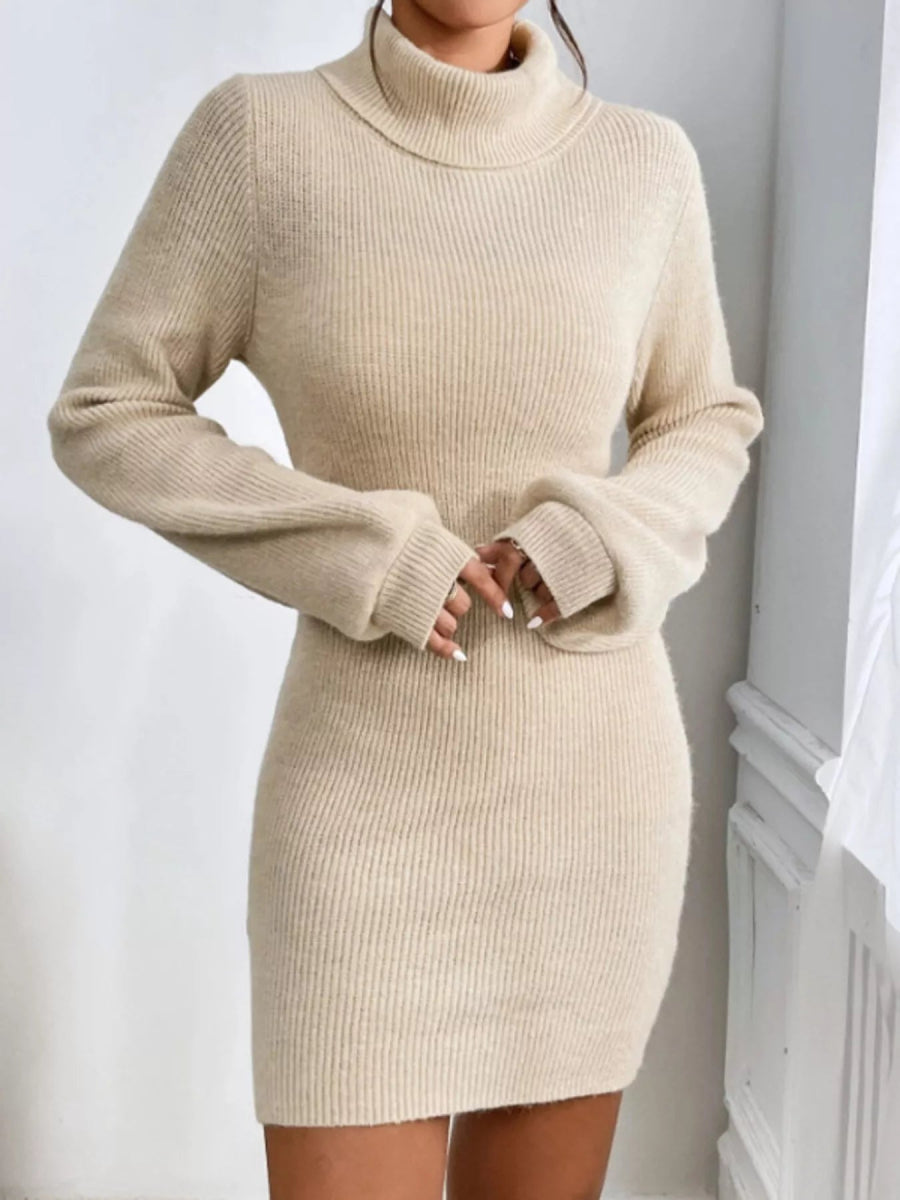 Turtleneck Ribbed Knit Sweater Dress-Nordavory