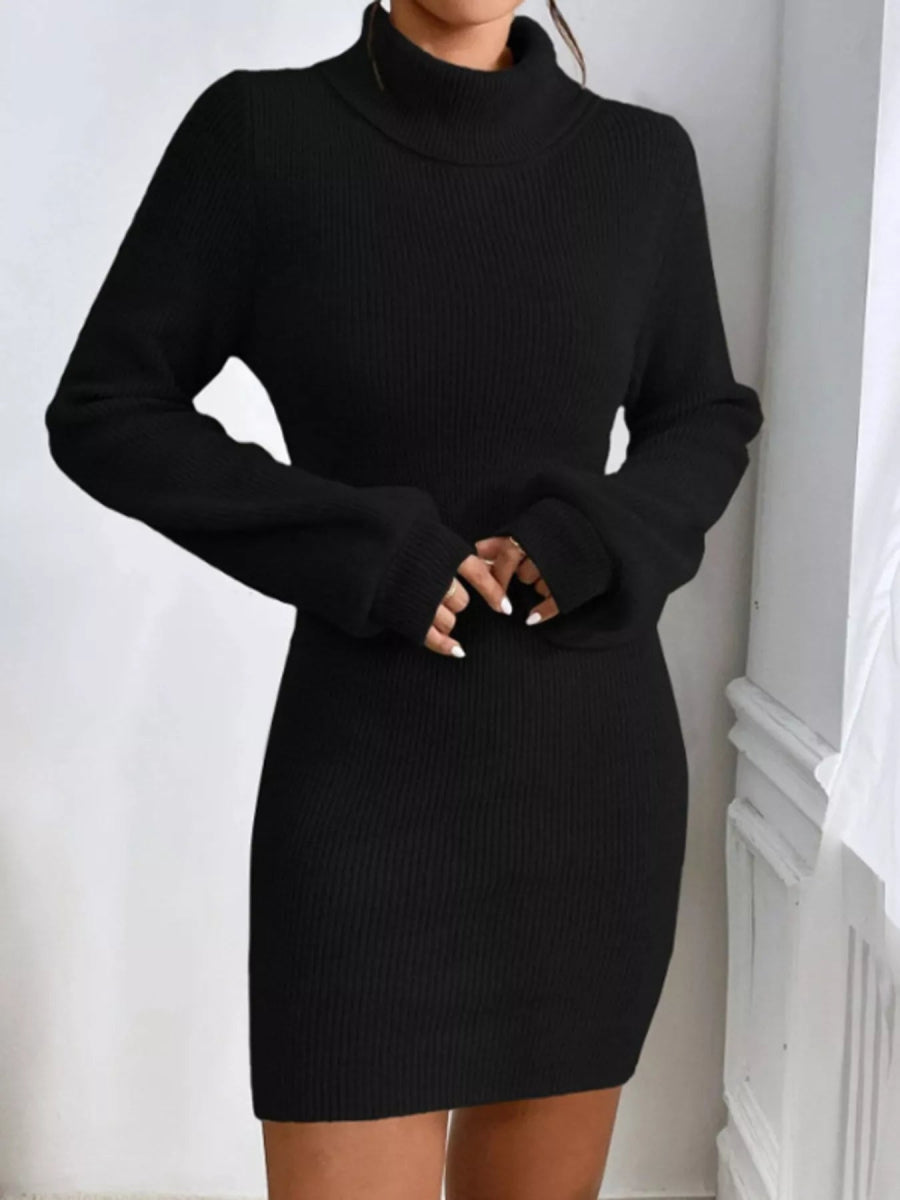 Turtleneck Ribbed Knit Sweater Dress-Nordavory