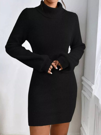 Turtleneck Ribbed Knit Sweater Dress-Nordavory