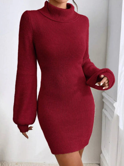 Turtleneck Ribbed Knit Sweater Dress-Nordavory