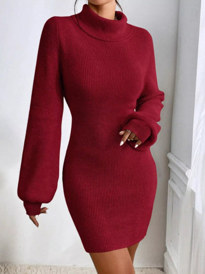Turtleneck Ribbed Knit Sweater Dress-Nordavory