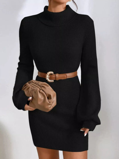 Turtleneck Ribbed Knit Sweater Dress-Nordavory