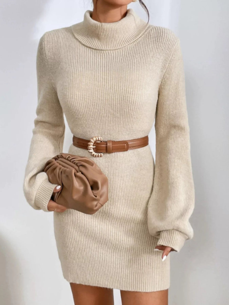 Turtleneck Ribbed Knit Sweater Dress-Nordavory