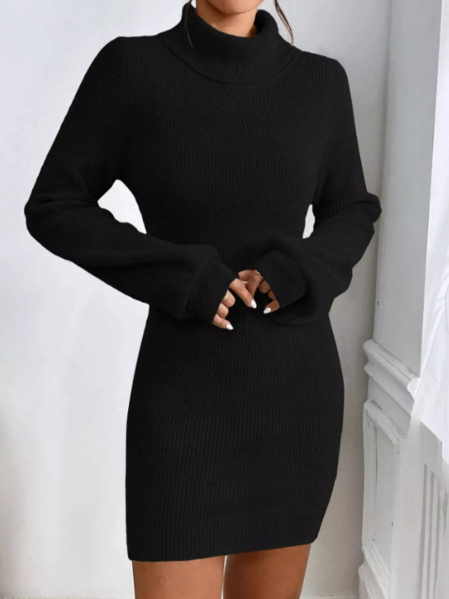 Turtleneck Ribbed Knit Sweater Dress-Nordavory