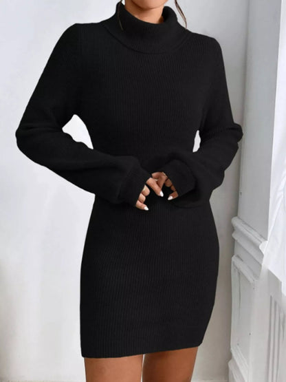 Turtleneck Ribbed Knit Sweater Dress-Nordavory