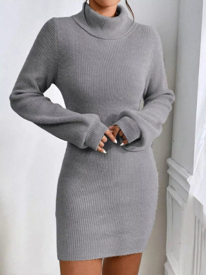 Turtleneck Ribbed Knit Sweater Dress-Nordavory