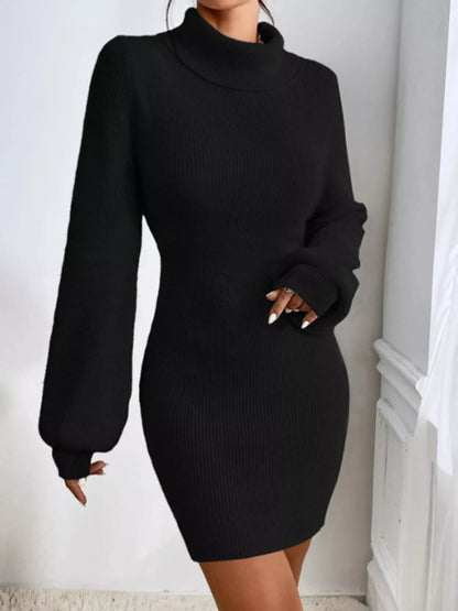 Turtleneck Ribbed Knit Sweater Dress-Nordavory