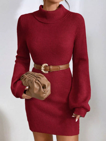 Turtleneck Ribbed Knit Sweater Dress-Nordavory